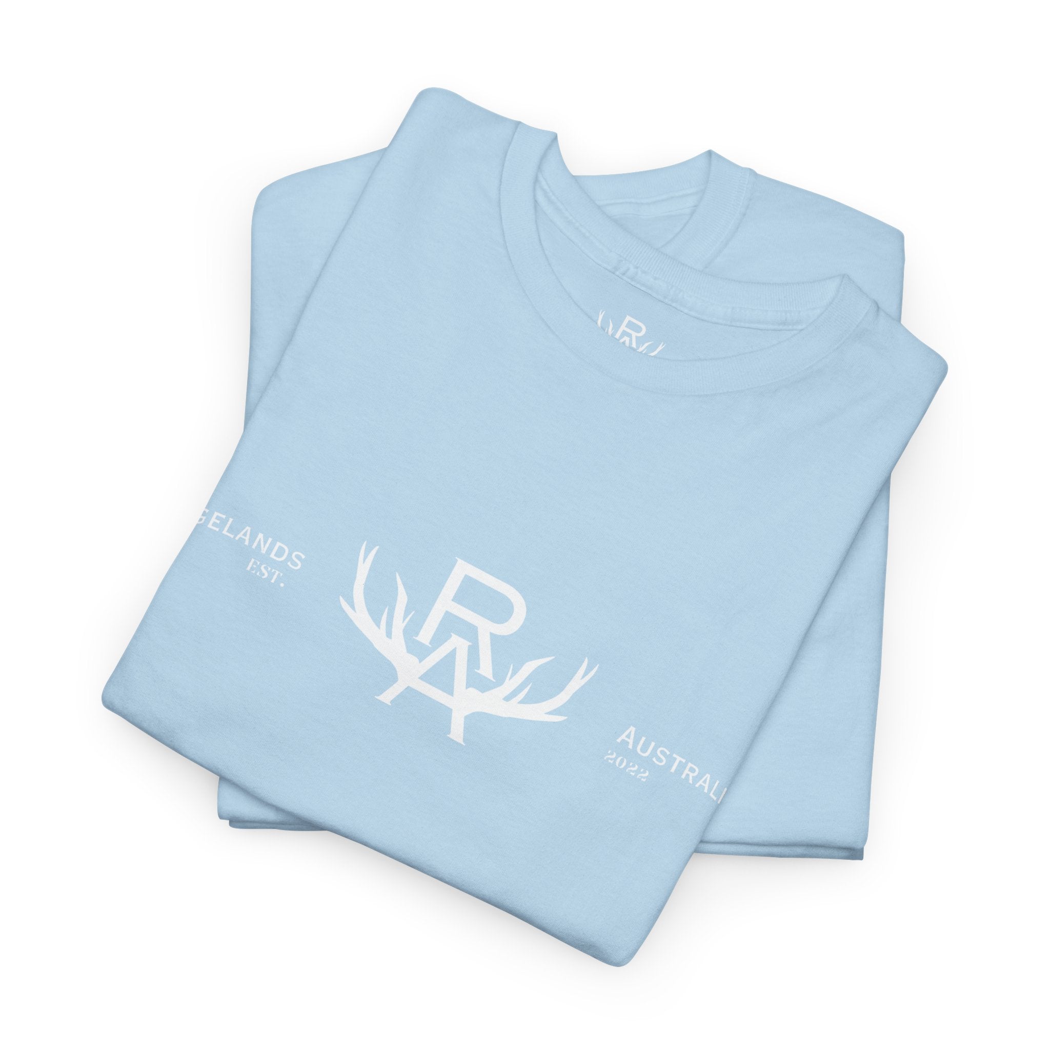 Unisex Signature Loose Fit T-Shirt - Sky Blue